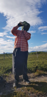 Image 1 de Wictor â Basic Nature - Moskitohutnetz No-See-Um - Moustiquaire