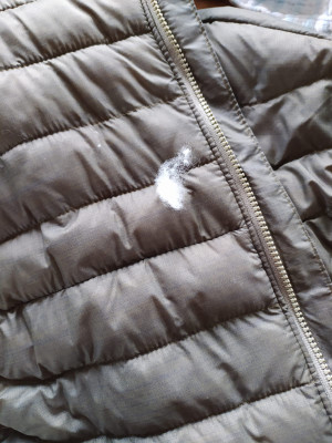 Image 1 de Robin-Pierre â Columbia - Powder Pass Vest - Gilet synthétique