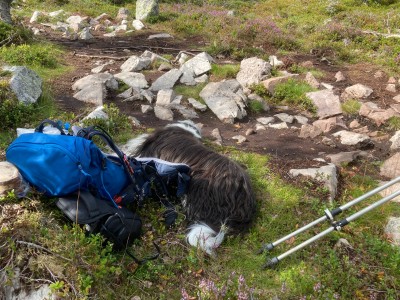 Image 1 de Angenis à Deuter - Futura 26 - Sac à dos de randonnée