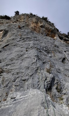 Image 1 de Stefan â Edelrid - Hummingbird Eco Dry 9,2 mm - Corde à simple