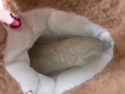 Image 1 de Bruno â Finkid - Kid's Lappi - Chaussures d'hiver