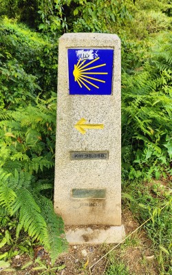 Image 1 de Peter â Fjällräven - Abisko Wool Classic S/S - Haut en mérinos