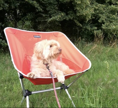 Image 1 de Katja à Helinox - Chair One XL - Chaise de camping