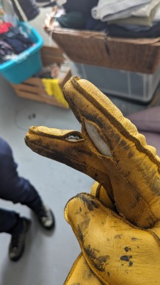 Image 1 de Thomas â Hestra - Deerskin Primaloft Rib - Gants