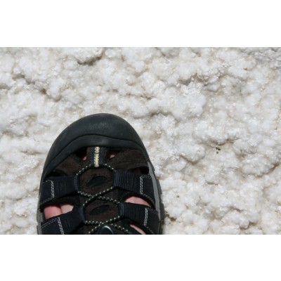 Image 1 de Dirk â Keen - Men Newport H2 - Sandales