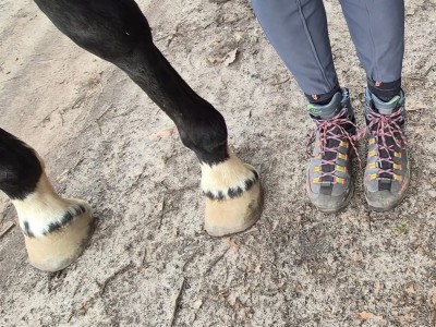 Image 1 de Ines â La Sportiva - Women's Trango TRK Leather GTX - Chaussures de randonnée