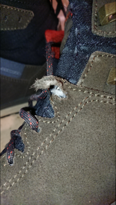 Image 1 de Rodolphe â Lowa - Malta GTX MID - Chaussures de randonnée