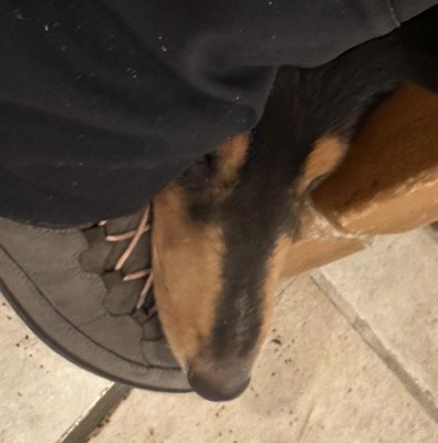 Image 1 de Barbara â Lowa - Women's Calceta III GTX - Chaussures d'hiver