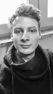 Image 1 de Tobias â Mufflon - Lucca - Pull en laine mérinos