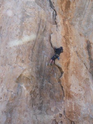 Image 1 de Siegfried â Petzl - Spirit Straight Gate - Mousqueton de progression