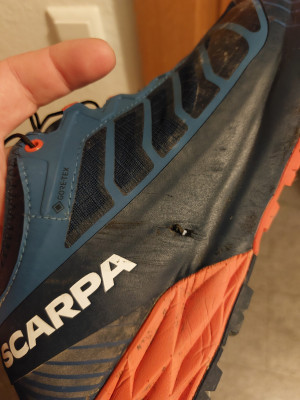 Image 1 de Daniel â Scarpa - Ribelle Run GTX - Chaussures de trail