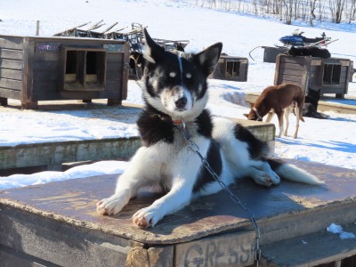 Image 1 de Ingrid â Sealskinz - Beetley - Cagoule