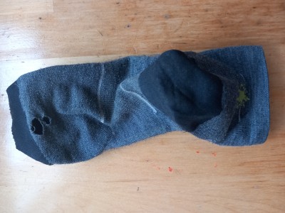 Image 1 de Adolfo à Smartwool - Performance Run Zero Cushion Ankle - Chaussettes de running