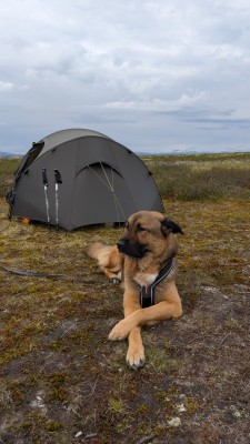 Image 3 de Florian â Stoic - FästaSt. EXT 3P UL - Tente 3 places