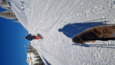 Image 1 de Alexandra â Tubbs - Flex TRK 22 Kit - Raquettes à neige