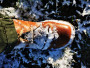 Image 3 de Dirk â Duckfeet - Odense - Chaussures d'hiver
