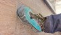 Image 2 de MARCIN â La Sportiva - TX4 Evo GTX - Chaussures d'approche
