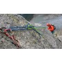 Image 1 de Heike â Mammut - Pendi 8.0 Dry - Corde à double