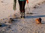 Image 1 de Jolanta â Tretorn - Women's Skanör - Bottes en caoutchouc