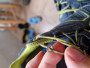 Image 2 de Nicole â Trollkids - Kid's Skarvan Hiker Low - Chaussures multisports