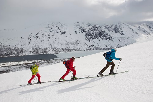 Bâtons pour ski de randonnée